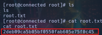 Root flag obtenida